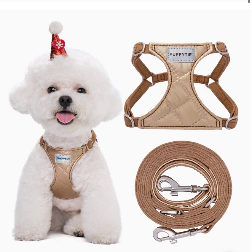 Pet Laser Harness and Leash Set