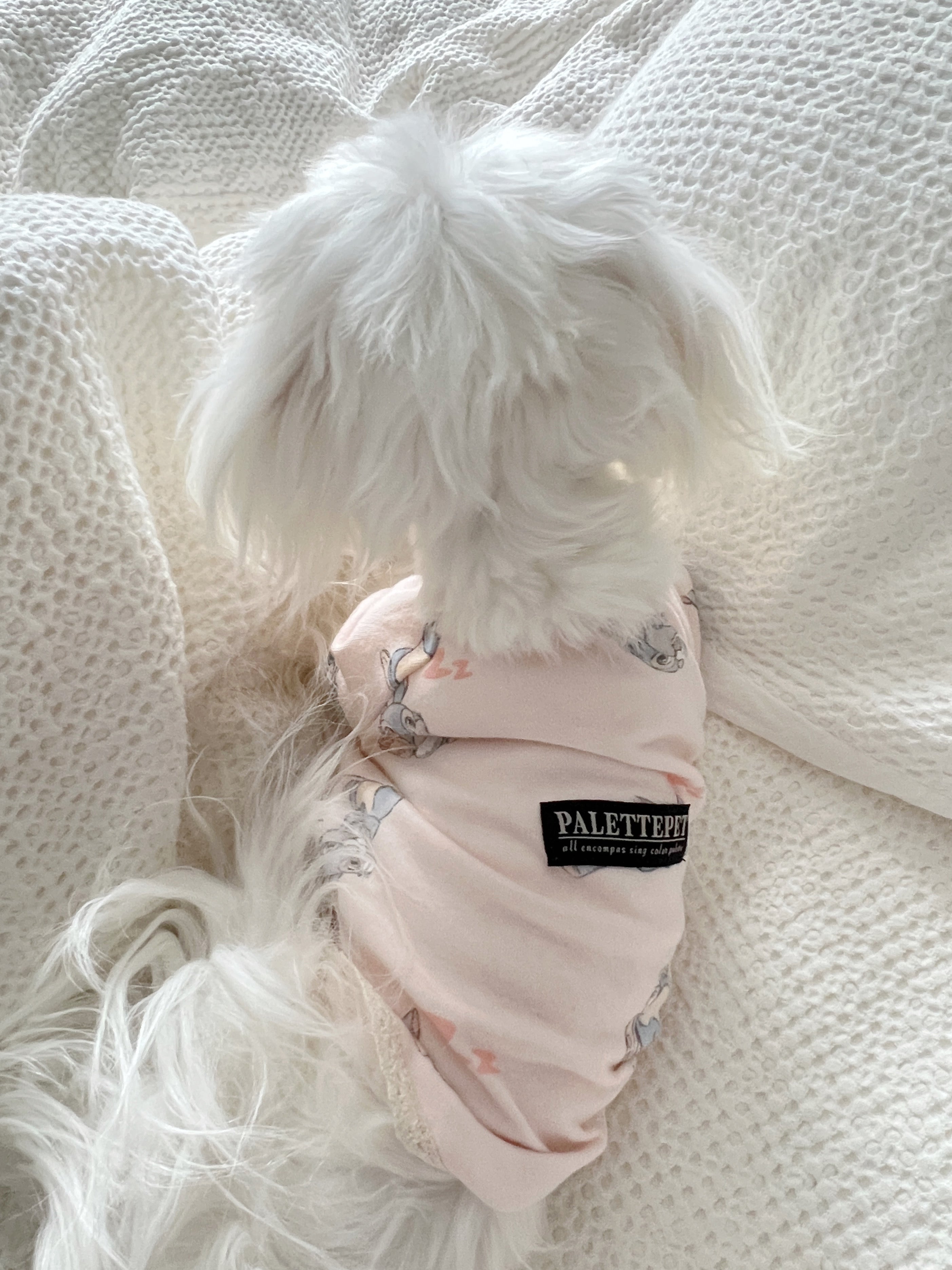 Dog Clothes Pink Rabbit Nightdress