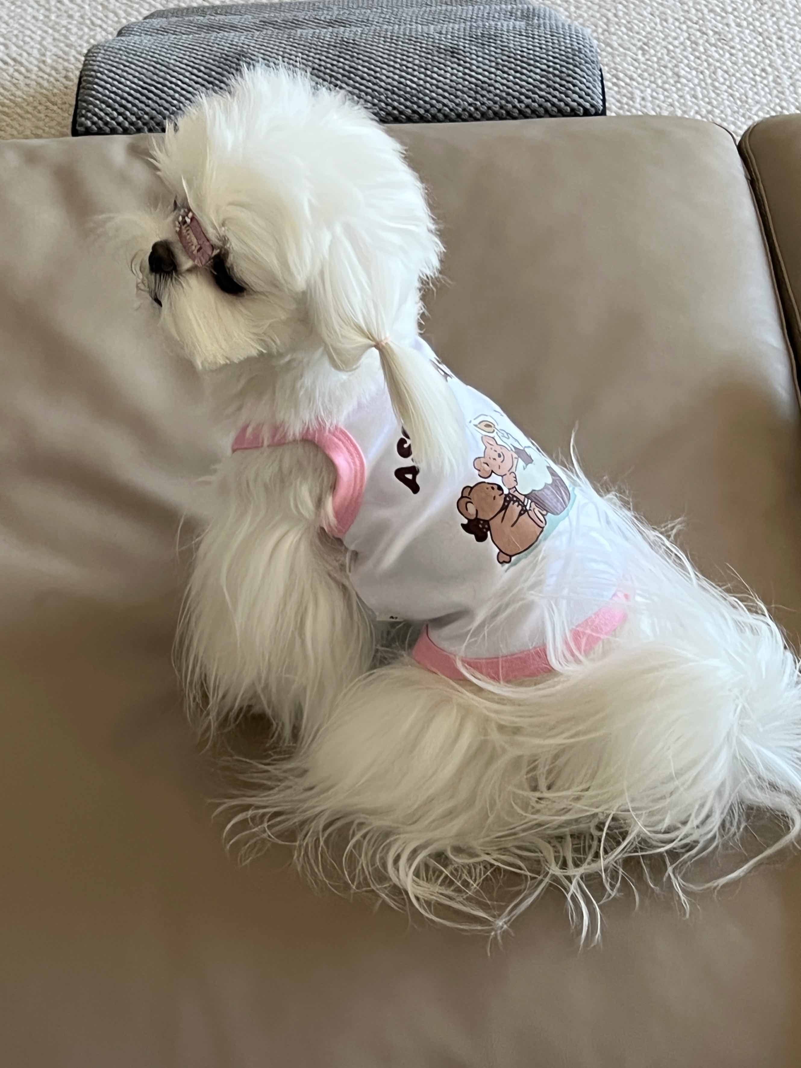 Pink Dog Clothes Dog Aspiration Vest