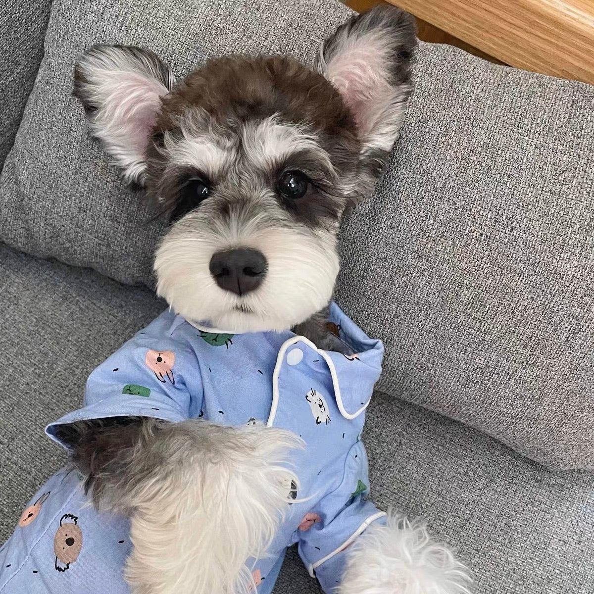 Cute Dog Clothes Blue Pet Shirt