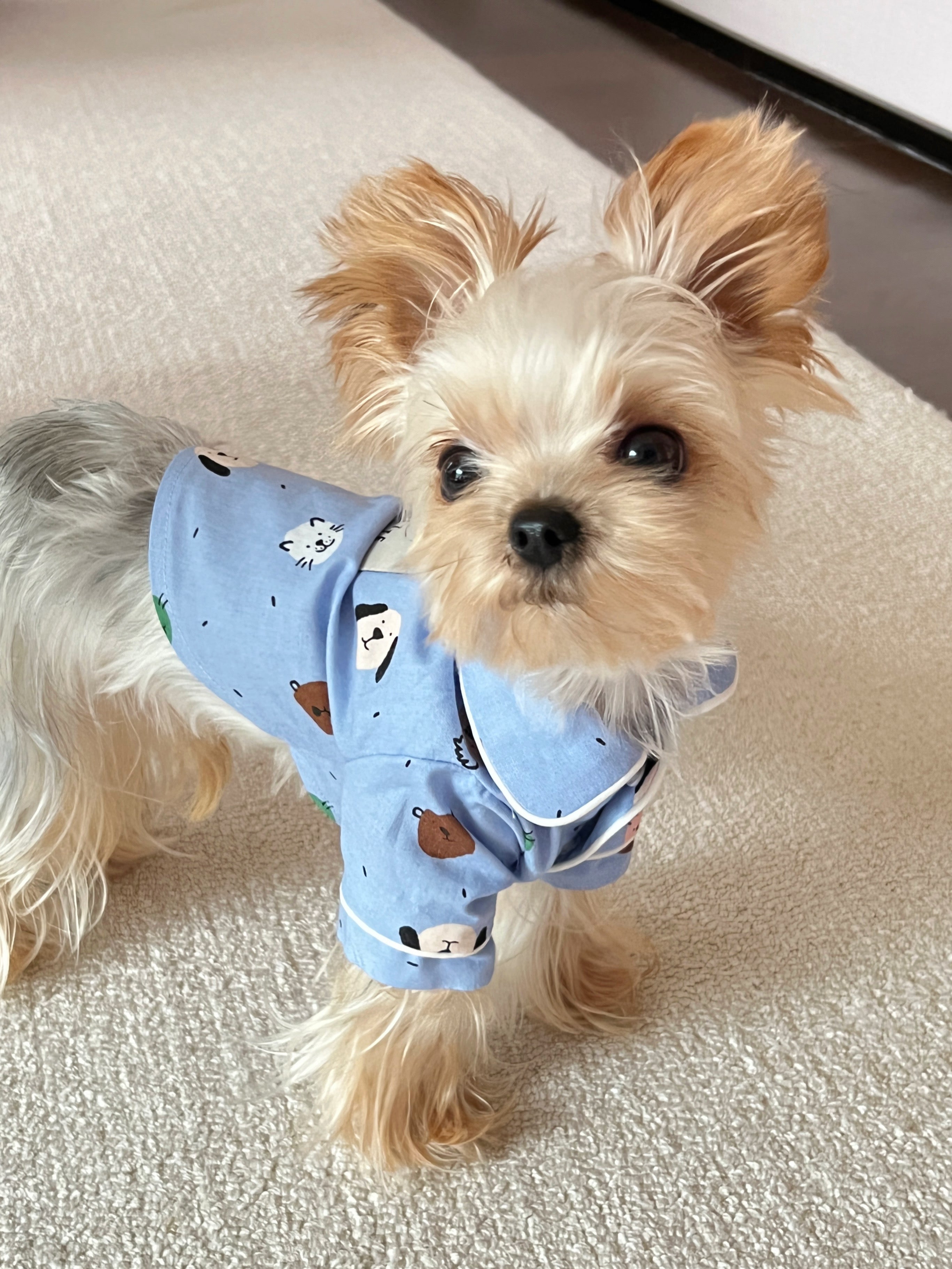 Cute Dog Clothes Blue Pet Shirt