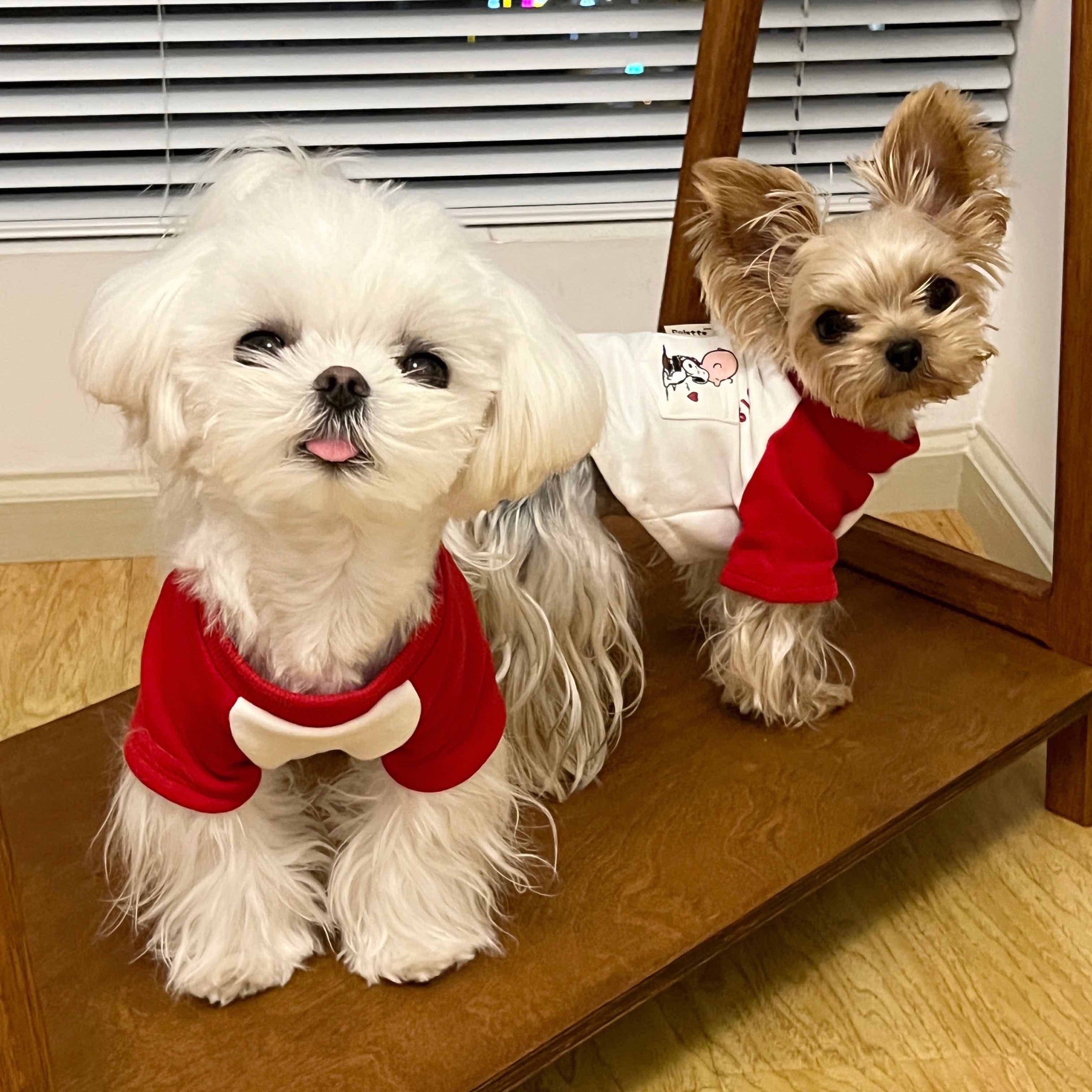 Dog Clothes White and Red Snoopy Pocket Dog Shirt