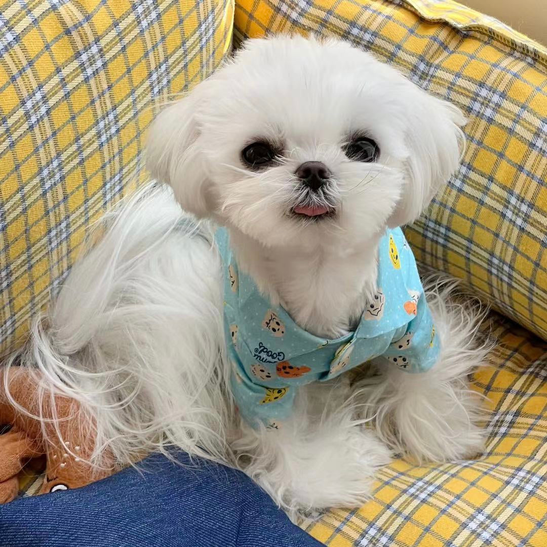 Cute Shirt for Dog Blue Color Dog Cloth