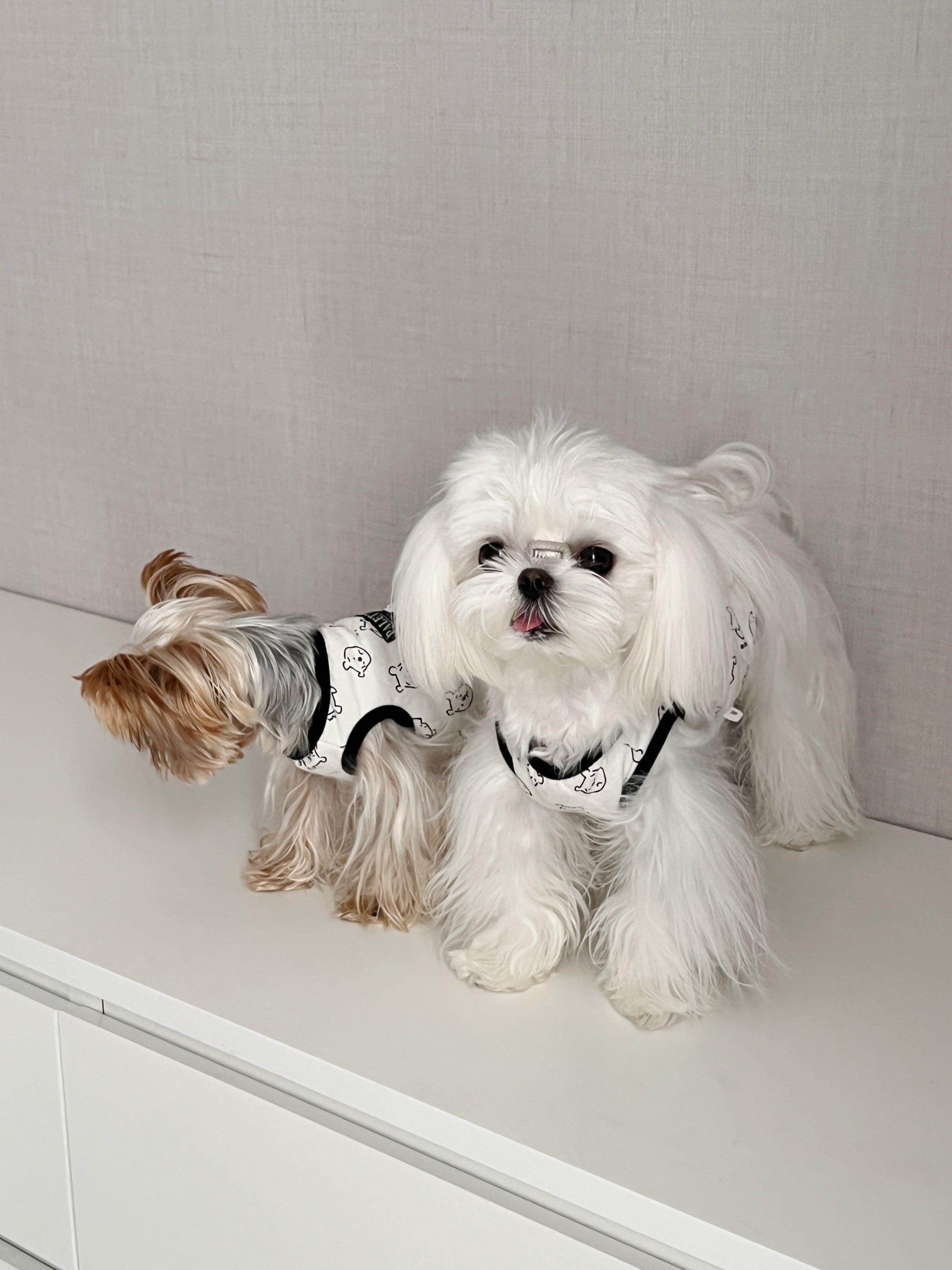 Dog Cloth Winnie White Waistcoat