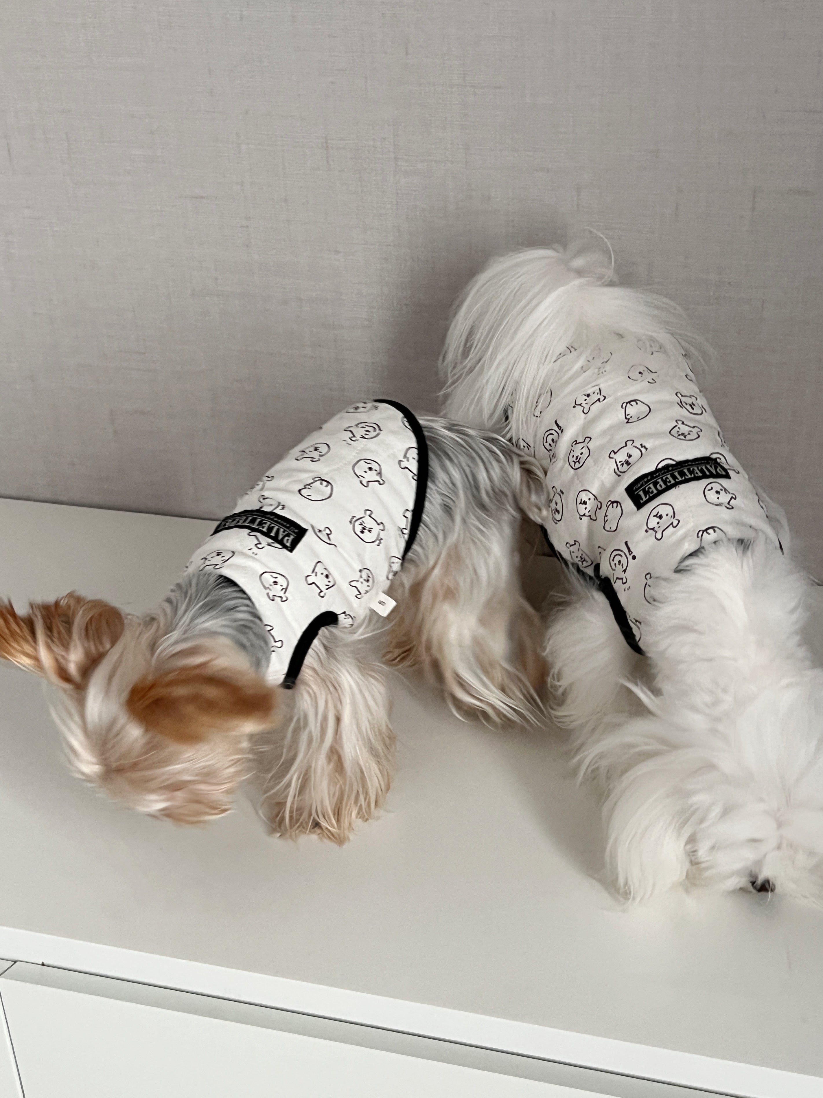 Dog Cloth Winnie White Waistcoat