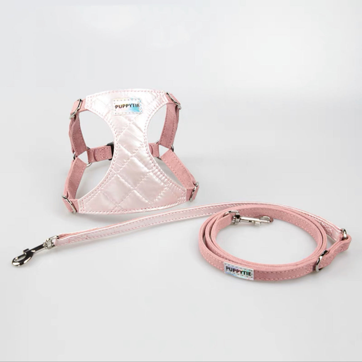 Pet Laser Harness and Leash Set