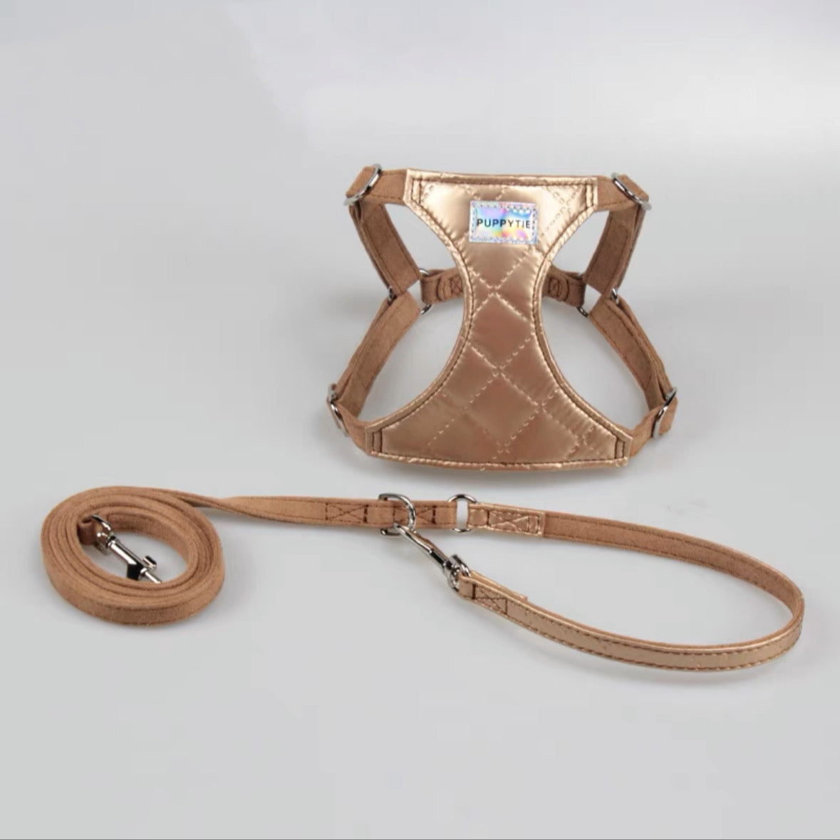 Pet Laser Harness and Leash Set