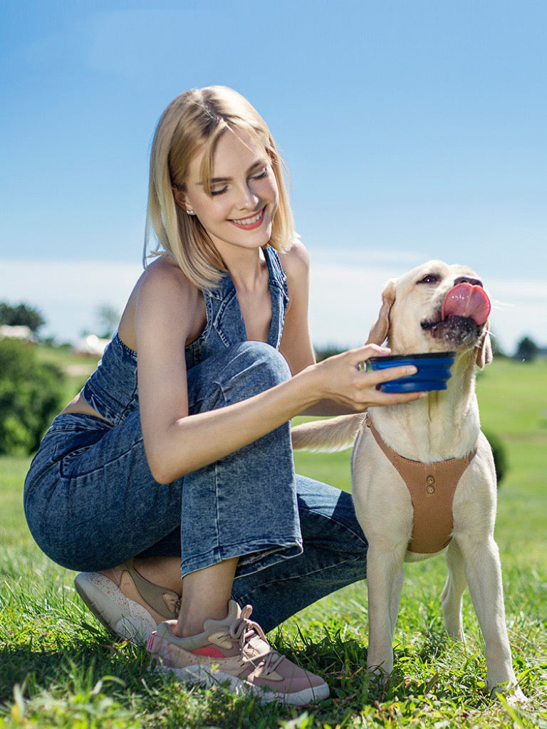 Dog Harness+Leash Set (Large)